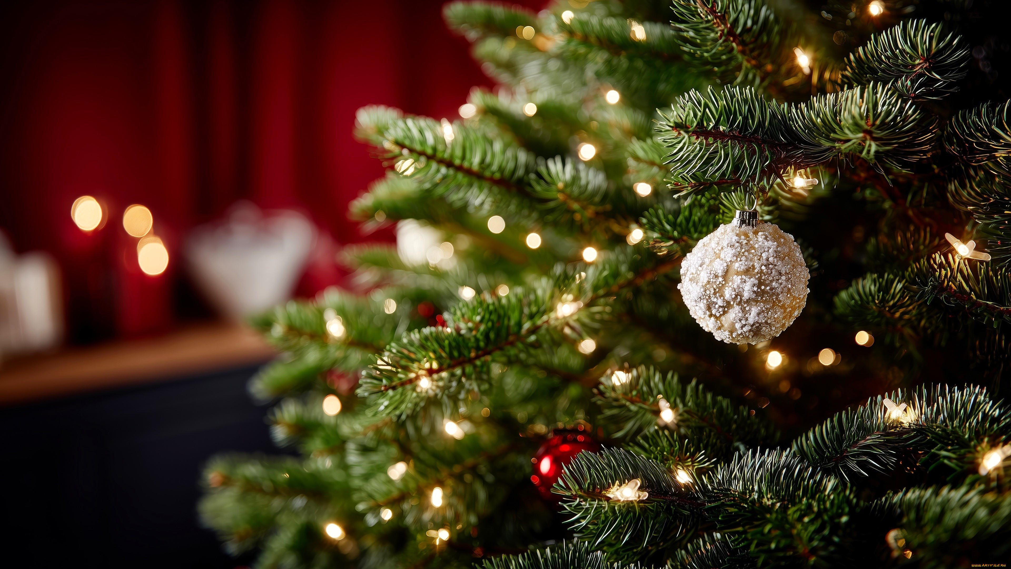 �����������, ����, ����, ����, �������